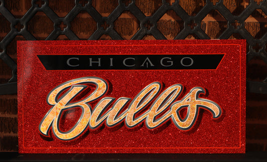 Hand Painted Chicago Bulls Panel